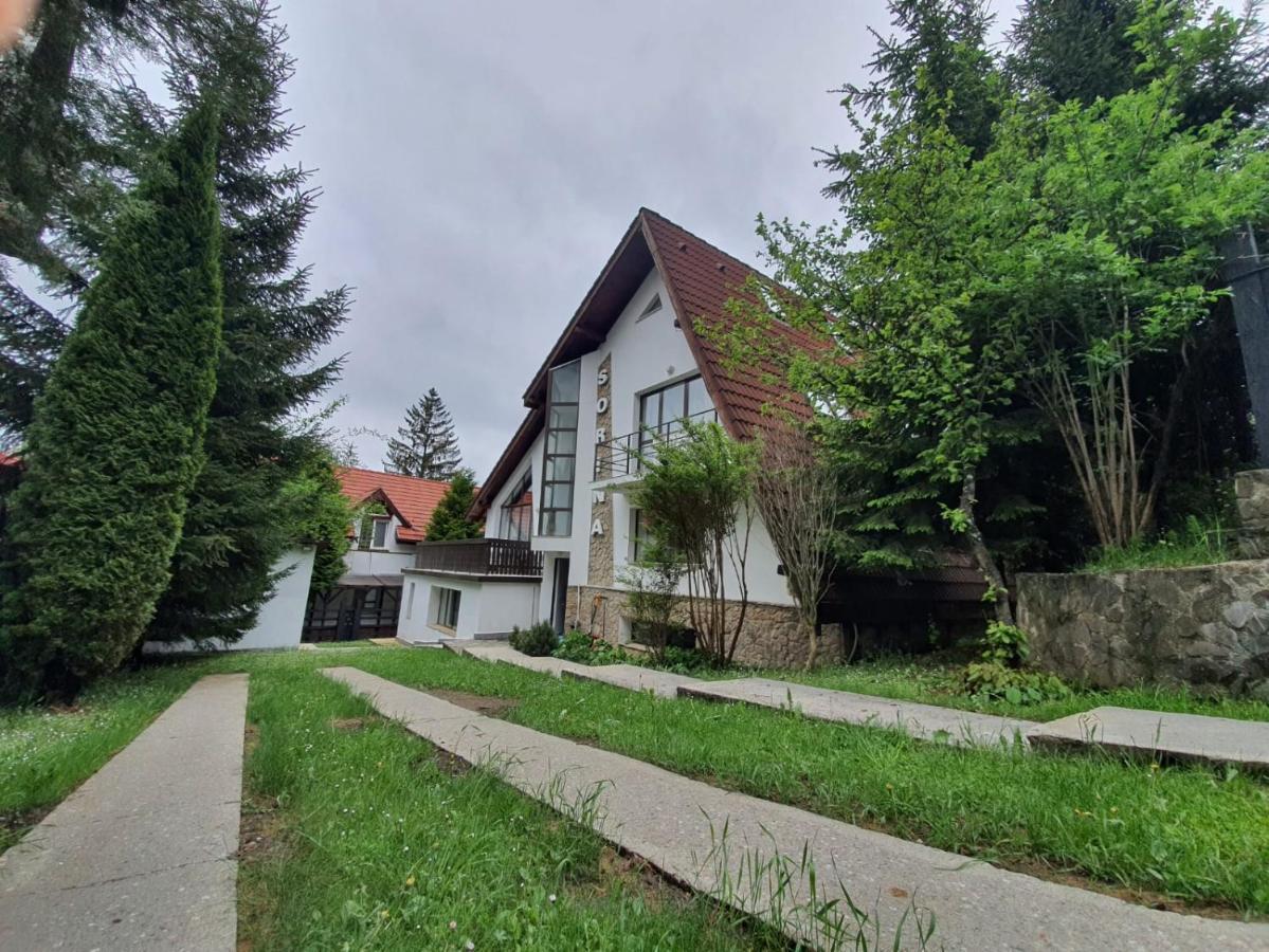Vila Sorina Poiana Brasov Bagian luar foto