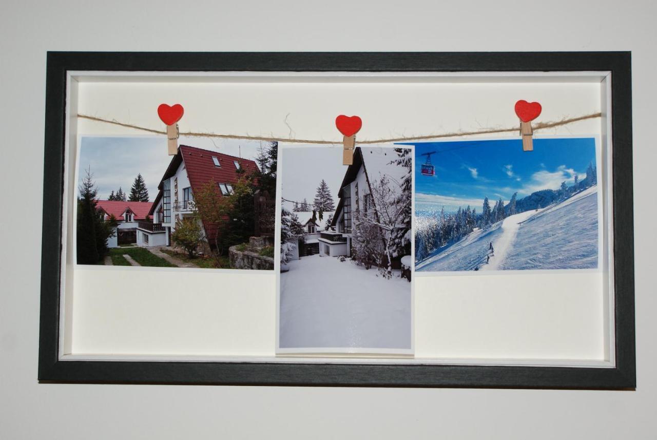 Vila Sorina Poiana Brasov Bagian luar foto